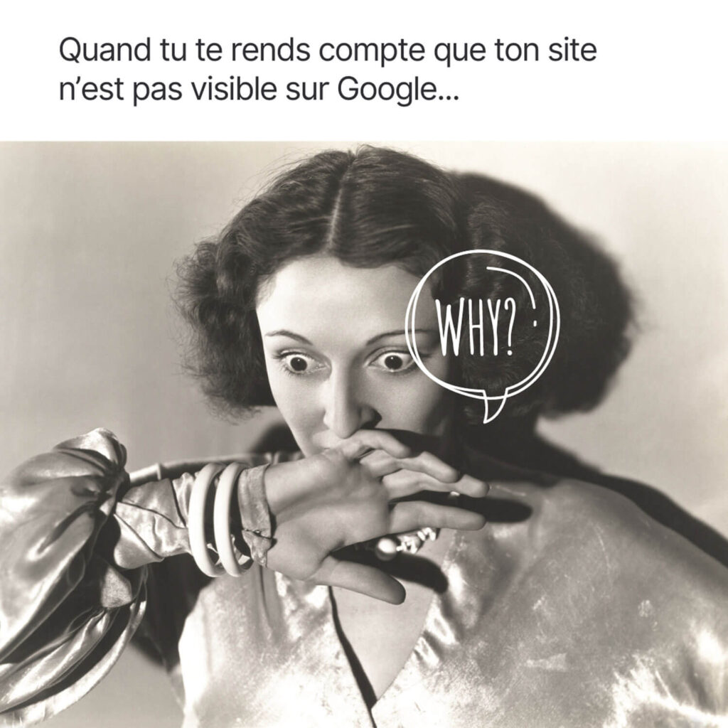Adeline Cransac - Rédactrice Web SEO - Quand tu découvres que ton site n'est pas visible sur Google